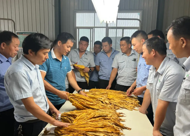 企業(yè)微信截圖_17177457305487.png